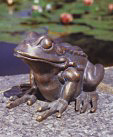 Frosch von Ulrich Seckinger