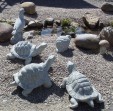 Schildkröten/Monte-Graniti